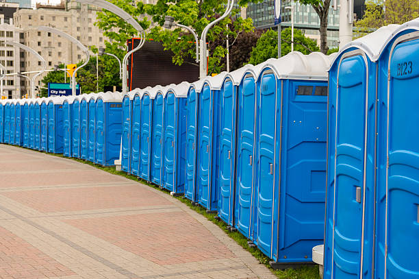 Best Portable Restroom Maintenance and Cleaning  in Buena Vista, CO